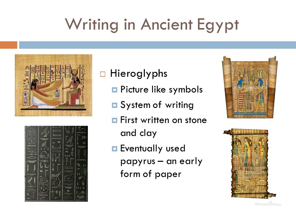 Anatomy in ancient egypt essay